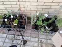 WhatsApp Image 2021-03-15 at 17.38.51 (1)