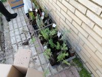 WhatsApp Image 2021-03-15 at 17.38.51