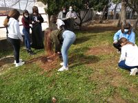 WhatsApp Image 2021-03-15 at 17.38.53