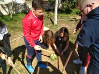 WhatsApp Image 2022-03-24 at 12.12.28