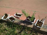 WhatsApp Image 2022-03-24 at 12.12.30 (1)