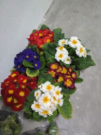 WhatsApp Image 2022-03-24 at 12.12.33 (1)